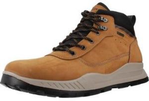 Čižmy IgI&CO  6630022IG