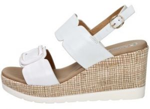 Sandále Studio Moda  51229-E5