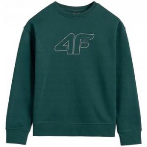 Mikiny 4F  BLUZA4FM1960MORSKAZIELE