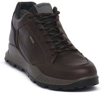 Nízke tenisky IgI&CO  8629511