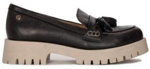 Nízke tenisky Maciejka  0549701005