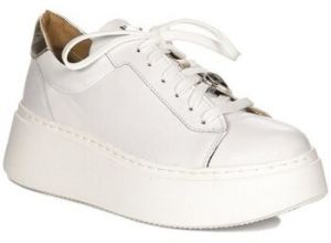 Nízke tenisky Maciejka  0619111008