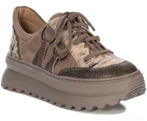 Nízke tenisky Maciejka  0656204008