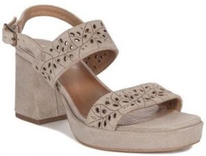 Nízka obuv do mesta Maciejka  5522A10001