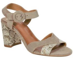 Nízka obuv do mesta Maciejka  0500404005