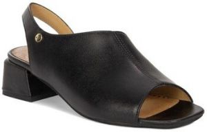 Nízka obuv do mesta Maciejka  0697501001