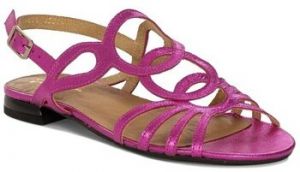 Nízka obuv do mesta Maciejka  0665615005