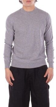 Svetre Alpha Studio  202502AU 3120C