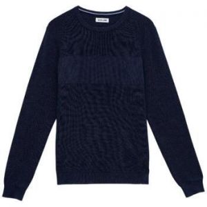 Svetre Salsa  21010129 830