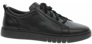 Nízke tenisky Josef Seibel  99401133105