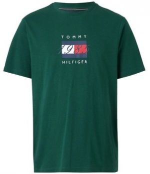Tričká s krátkym rukávom Tommy Hilfiger  LINEAR FLAG GRAPHIC TEE