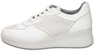 Nízke tenisky Cinzia Soft  IV321478