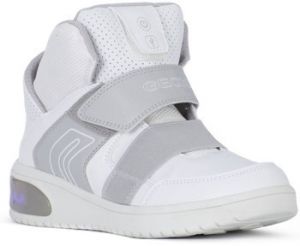 Členkové tenisky Geox  KLED