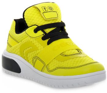 Nízke tenisky Geox  XLED