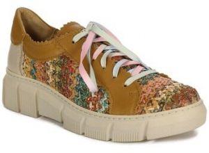 Nízke tenisky Maciejka  0585029001