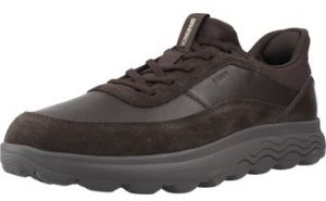 Nízke tenisky Geox  D SPHERICA PLUS A