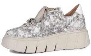 Nízke tenisky Maciejka  6891W02008