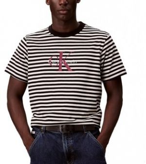 Tričká s krátkym rukávom Calvin Klein Jeans  SS 20S STRIPE JERSEY MON