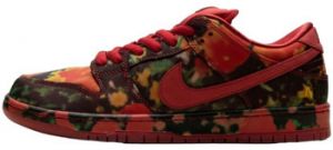 Nízke tenisky Nike  SB Dunk Low The Wizard of Oz Poppy Field