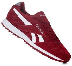 Nízke tenisky Reebok Sport  Royal Glide Rpl