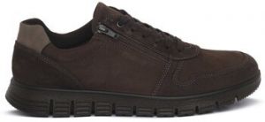 Turistická obuv Enval  8726822