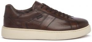 Nízke tenisky NeroGiardini  500971412