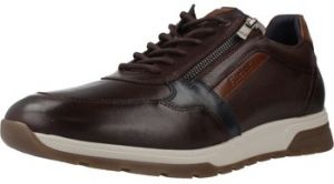 Nízke tenisky Fluchos  F1600