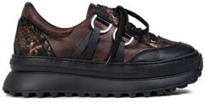 Nízke tenisky Maciejka  0656225008