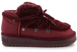 Obuv do snehu D.Franklin  DFSH370011BURG