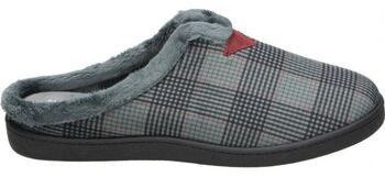 Papuče Calz. Roal  R12268