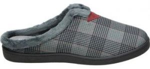 Papuče Calz. Roal  R12268