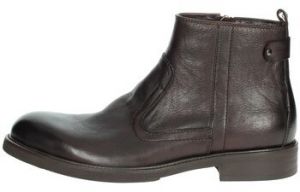 Čižmičky Amerigo Vespucci  AV233