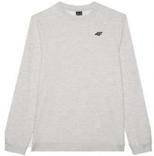 Mikiny 4F  M1767CHODNYJASNYSZARYMELAN