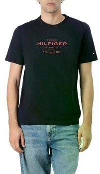 Tričká s krátkym rukávom Tommy Hilfiger  HILFIGER STACK GRAPHIC T