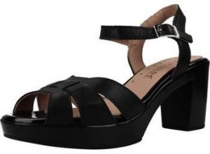 Sandále Pitillos  20123P