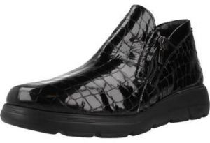 Derbie 24 Hrs  26294 24H