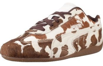 Nízke tenisky Puma  SPEEDCAT COW WNS