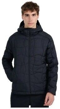 Parky 4F  4FWAW25TDJAM078020S