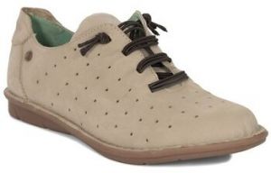 Derbie Maciejka  P681010001