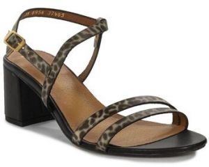 Sandále Maciejka  0695812000