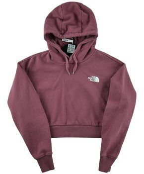 Mikiny The North Face  276822