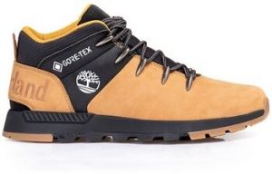 Nízke tenisky Timberland  Sprint Trekker Gtx