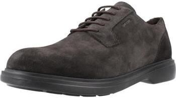 Derbie Geox  U OTTAVIO