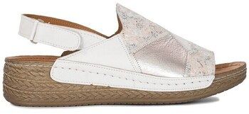 Sandále Maciejka  L706711001