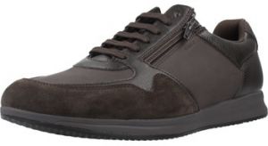 Nízke tenisky Geox  U AVERY