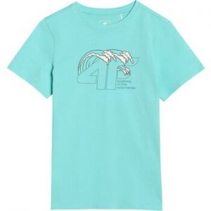 Tričká s krátkym rukávom 4F  K1528