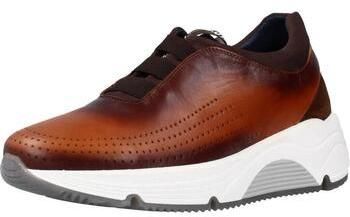 Nízke tenisky Angel Infantes  80010C