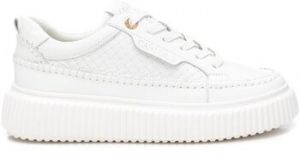 Nízke tenisky Carmela  162296