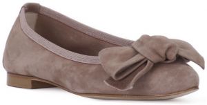 Balerínky/Babies Priv Lab  CAMOSCIO CIPOLLA