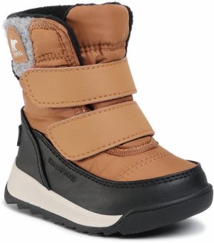 Snehule SOREL